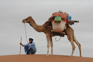 desert_6.jpg